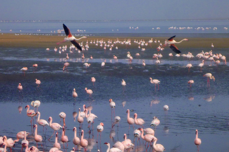 Namibia